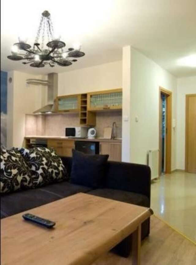 Апартаменты Apartamenty Skaldowie Закопане-19